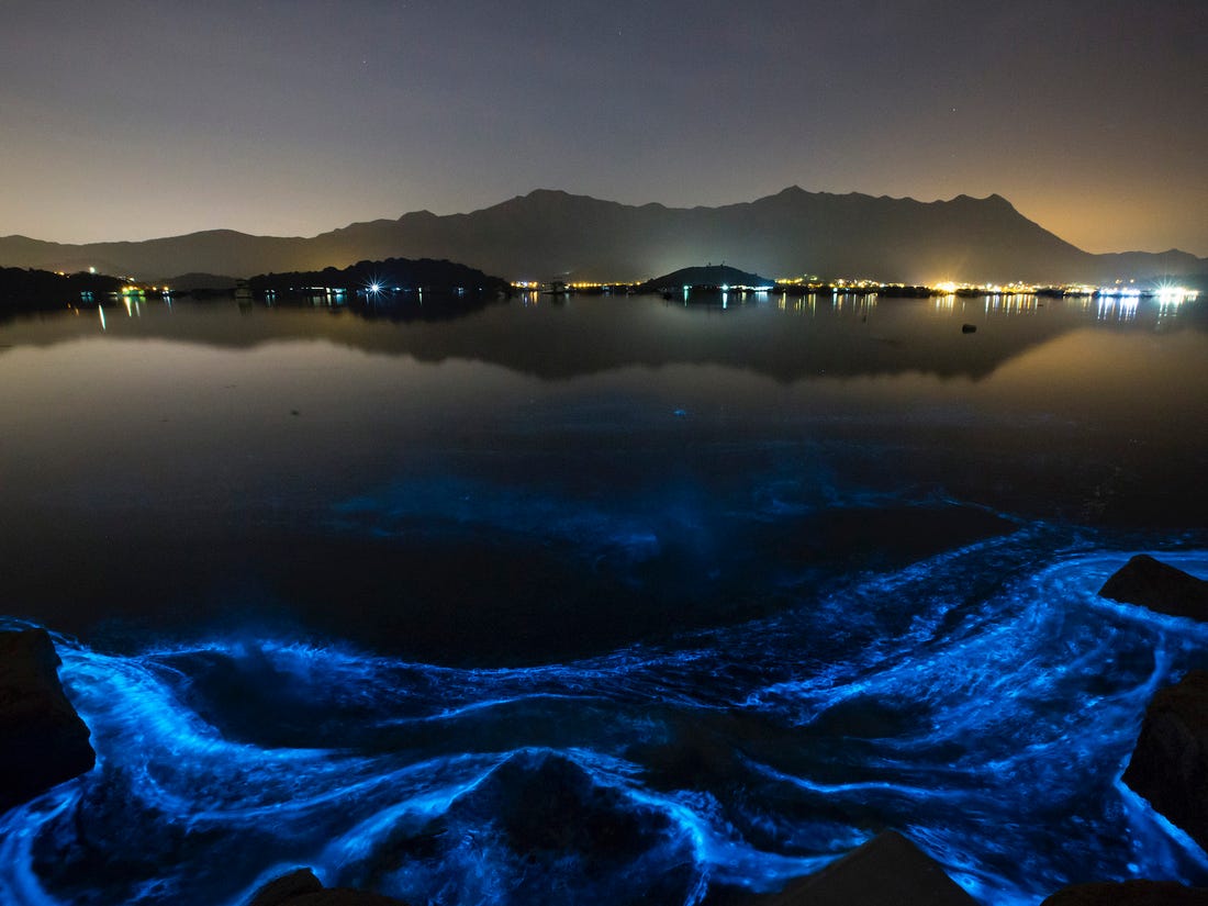 red sea coastline